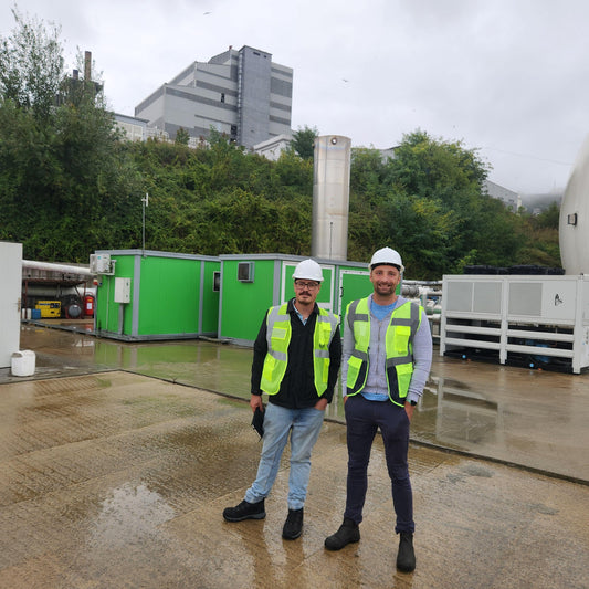 Biochar, Biomass and Bottom Lines